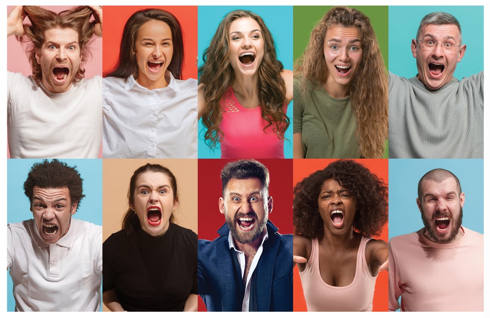 COMPRENDRE LES EMOTIONS